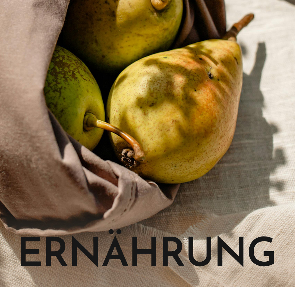  Ernährung