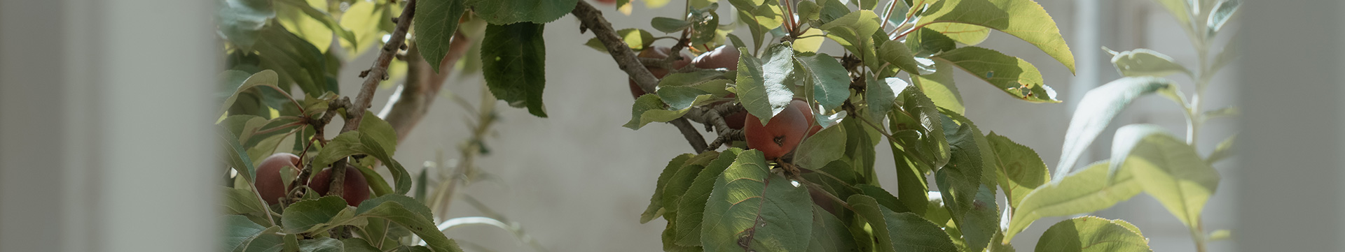 Ausbildung Ernährungsberater